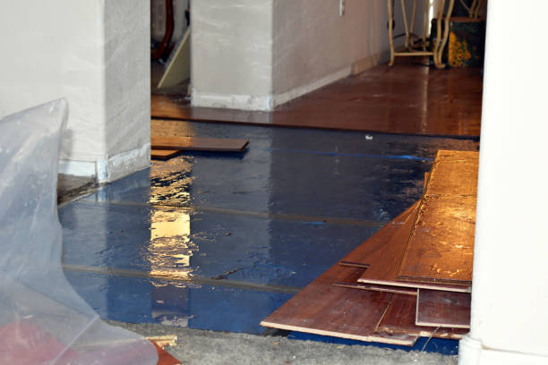 Professional Burst Pipe Cleanup technician working in Grant, FL